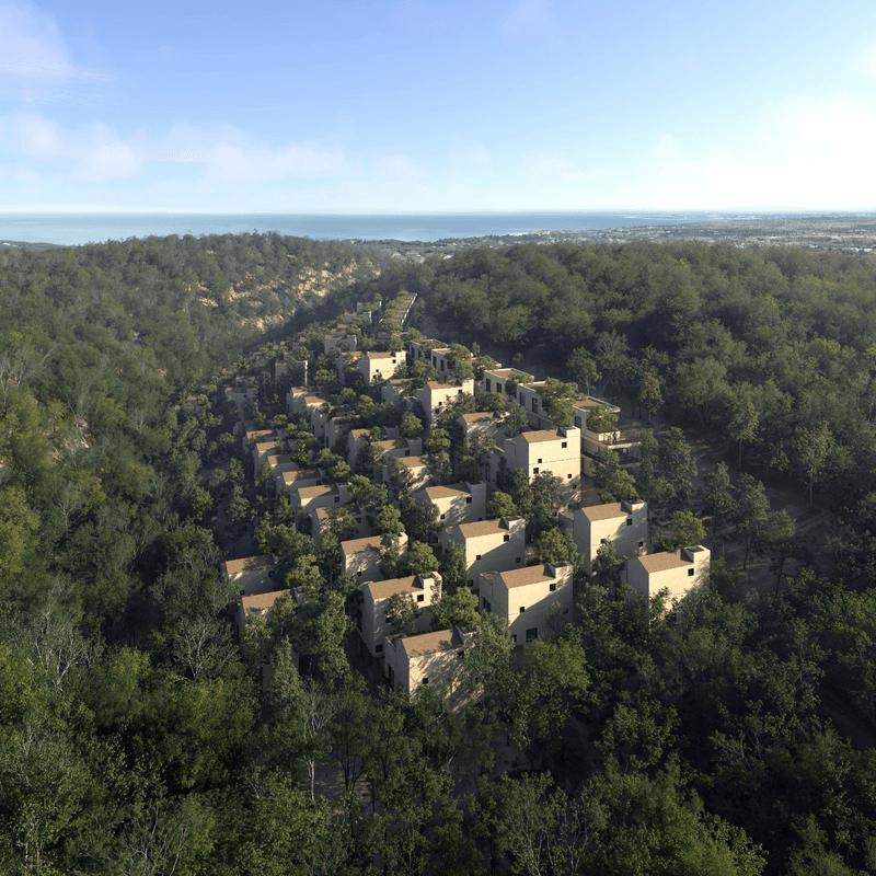 TAMORA AXIS