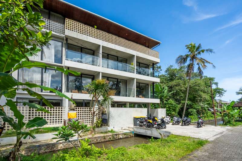 Jungle Vista