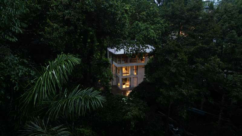 BAMBOOLINA — фото 1 из 4