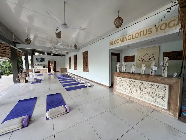 Blooming Lotus Yoga Retreat | Bali Yoga Teacher Training