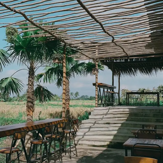 Edery Cafe