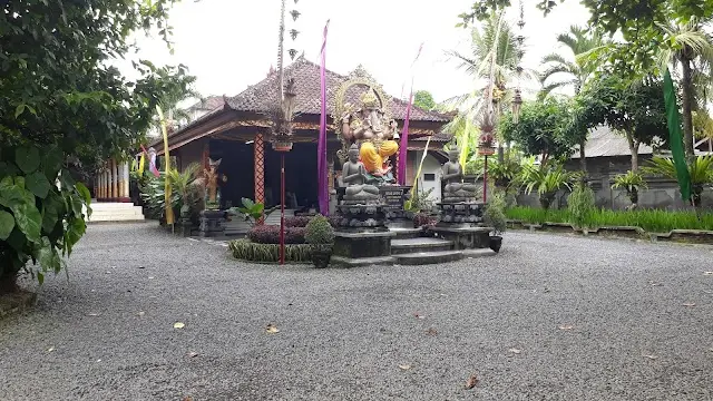 Semar Kuning 1